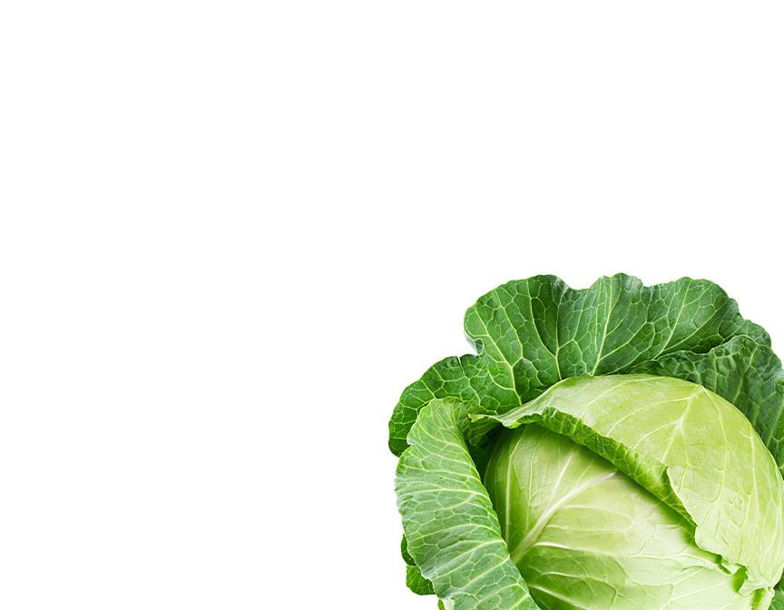 Cruciferous